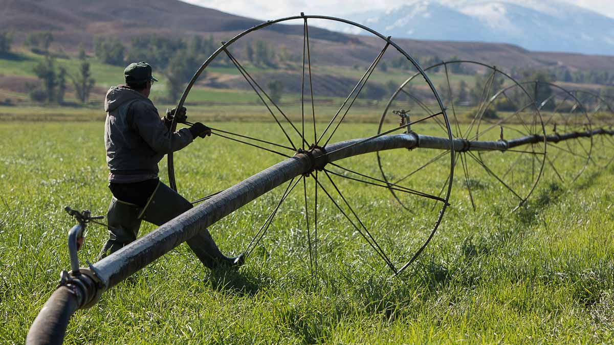 A photo of the irrigation equipment in a field