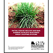 Rattail Fescue: Biology and Management in Pacific Northwest Wheat Cropping Systems