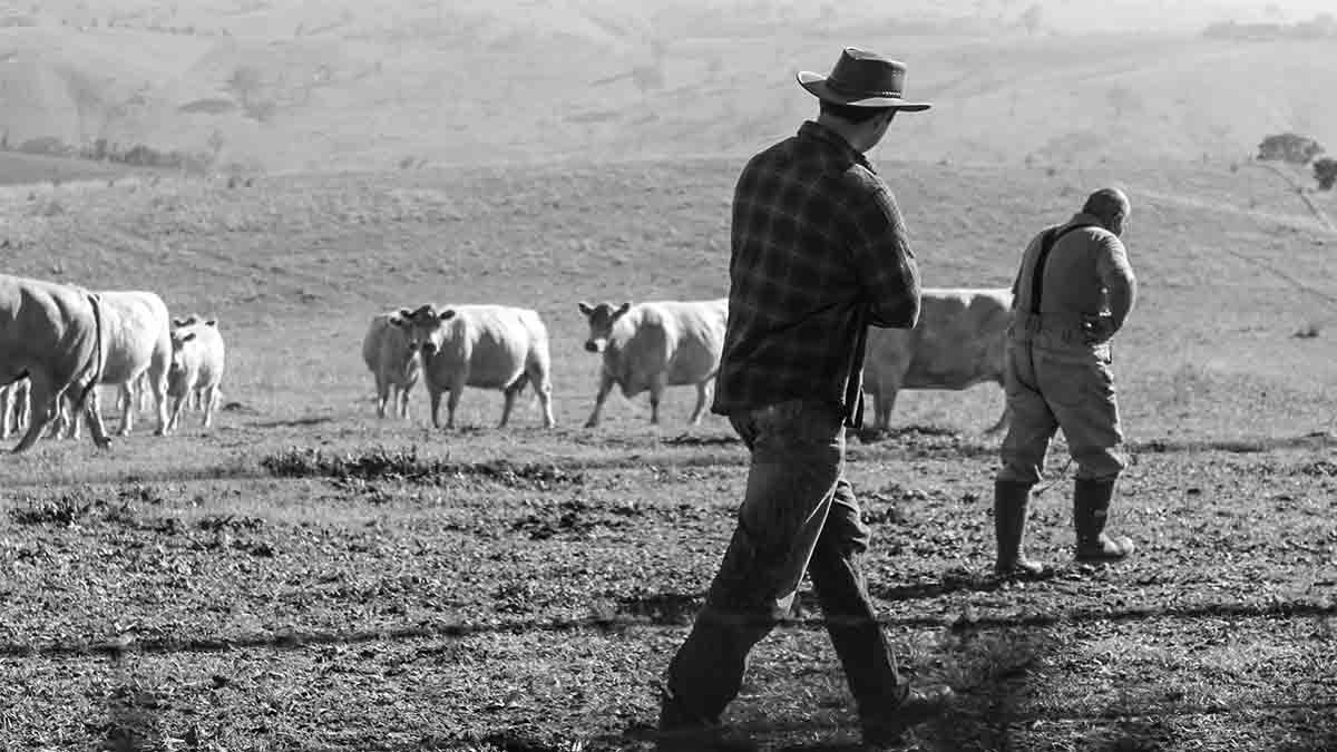 Two male farmers with livestock.