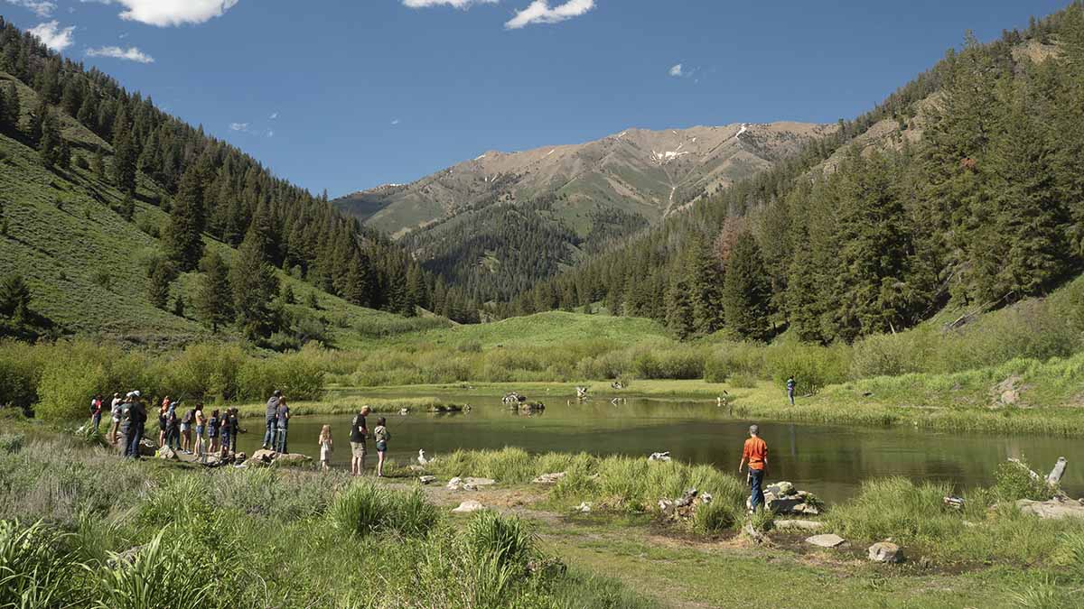 A group fishing in a pond.