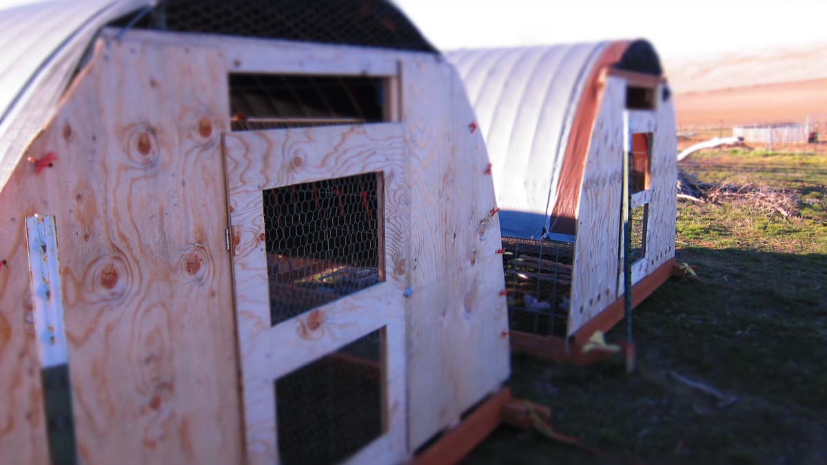 hen houses