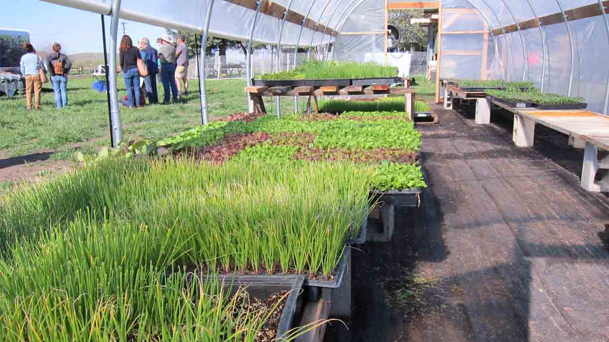 touring greenhouses