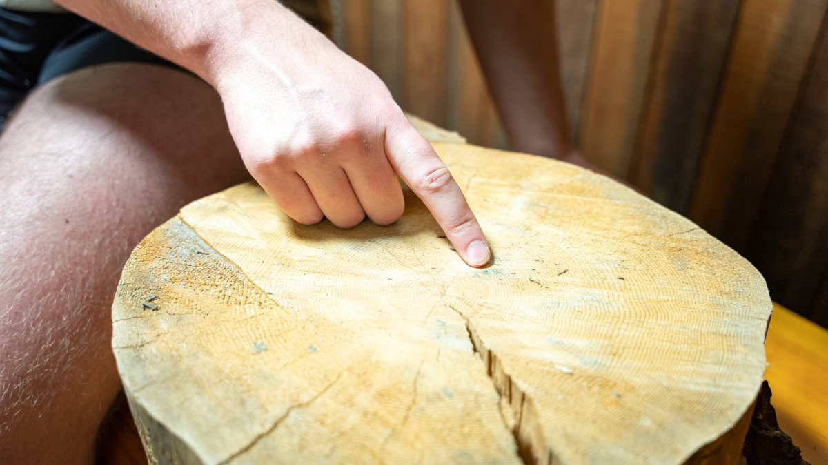 A hand and index finger pointing at a fire scar in a bolt of wood.