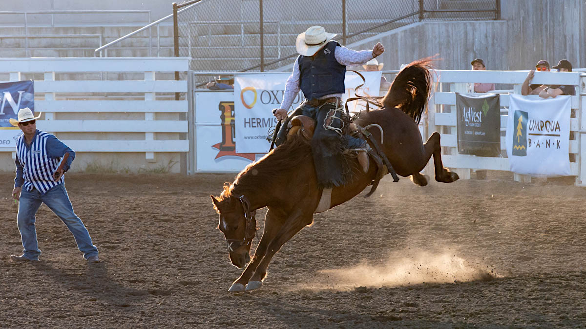 Man rides bucking bronco.