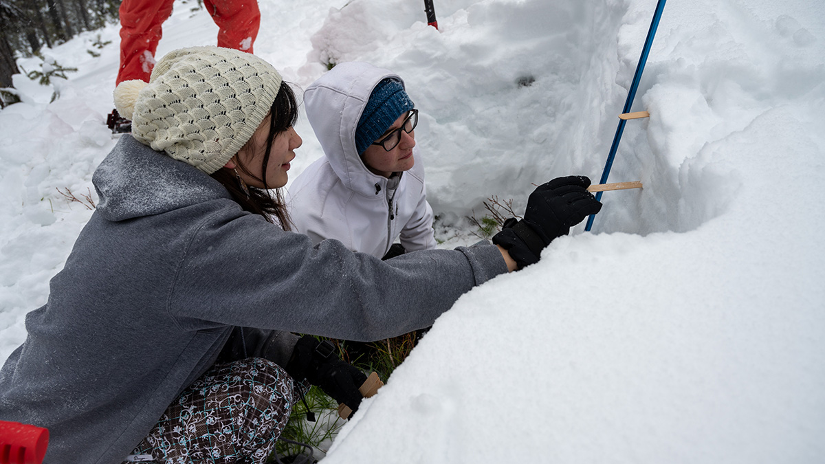 Two students use popsicle sticks to measure the distance between snow layers in a snow pit.