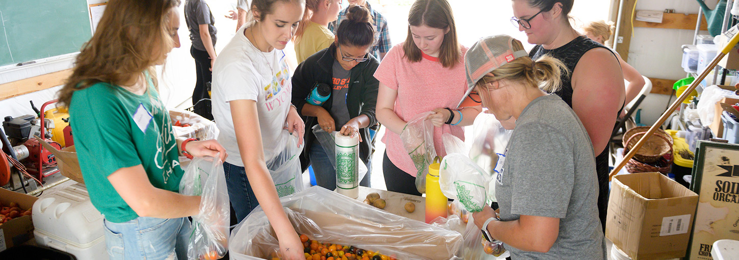 Students sort fruit.